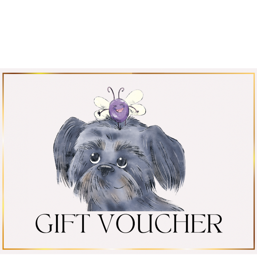 Archie’s Adventures Gift Card!